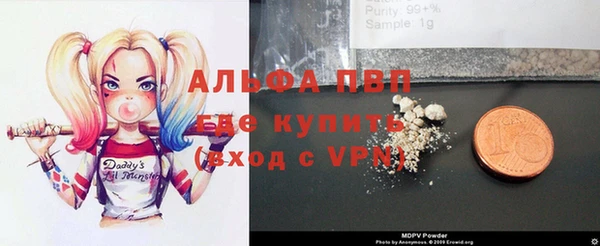 стаф Богородицк