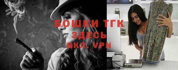 стаф Богородицк