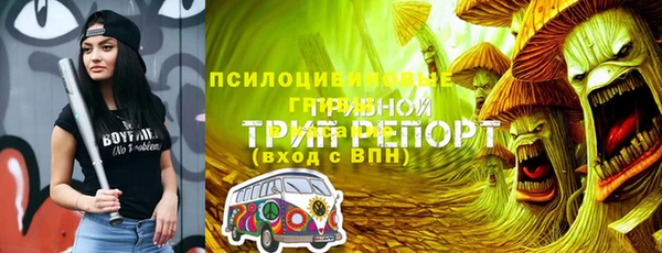 СК Ельня