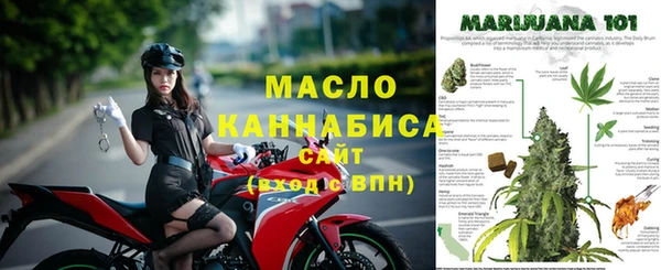 гашик Белокуриха