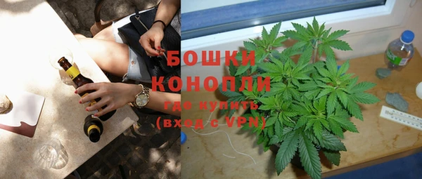 стаф Богородицк